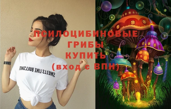 стаф Бабаево