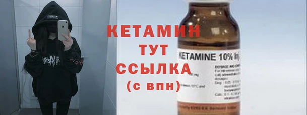 шишки Новозыбков