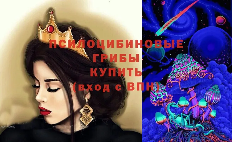 Псилоцибиновые грибы Psilocybe  наркотики  Ковров 