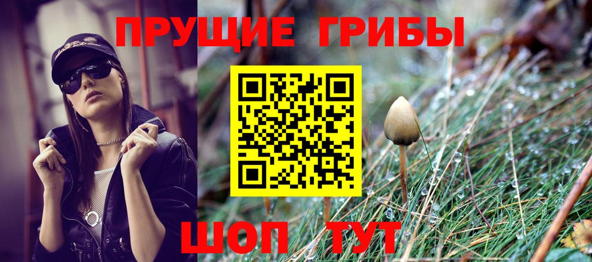 Псилоцибиновые грибы ЛСД Ковров