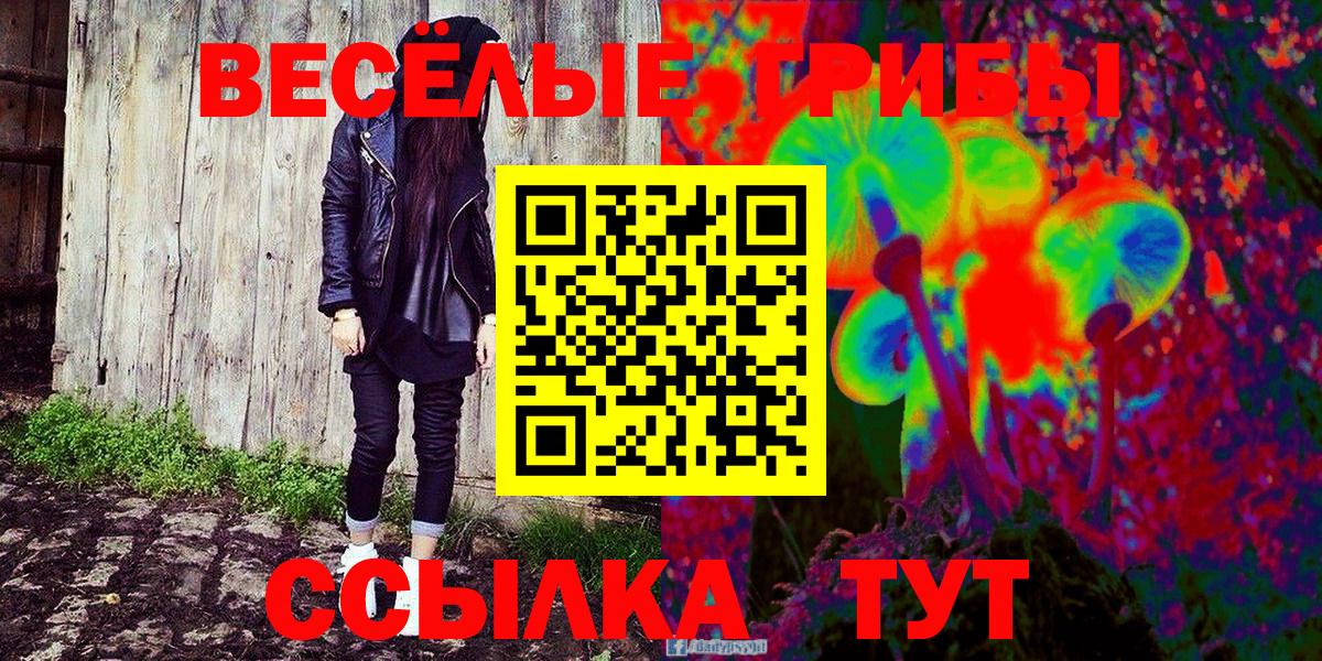 Ковров  Псилоцибиновые грибы мицелий  Вход с VPN  Галлюциногенные грибы прущие грибы 